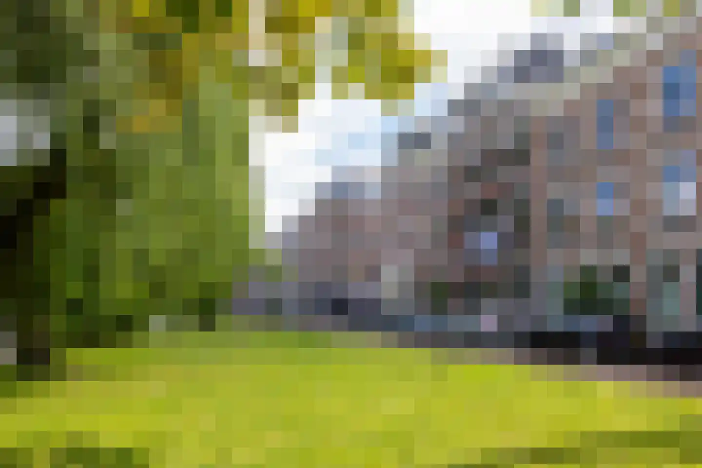 Provenierssingel 36 Rotterdam thumbnail 29