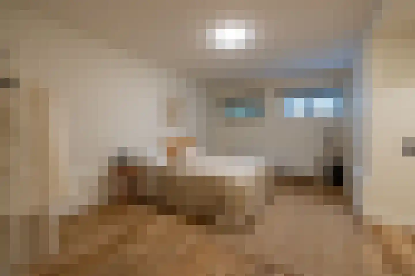 Provenierssingel 36 Rotterdam thumbnail 4