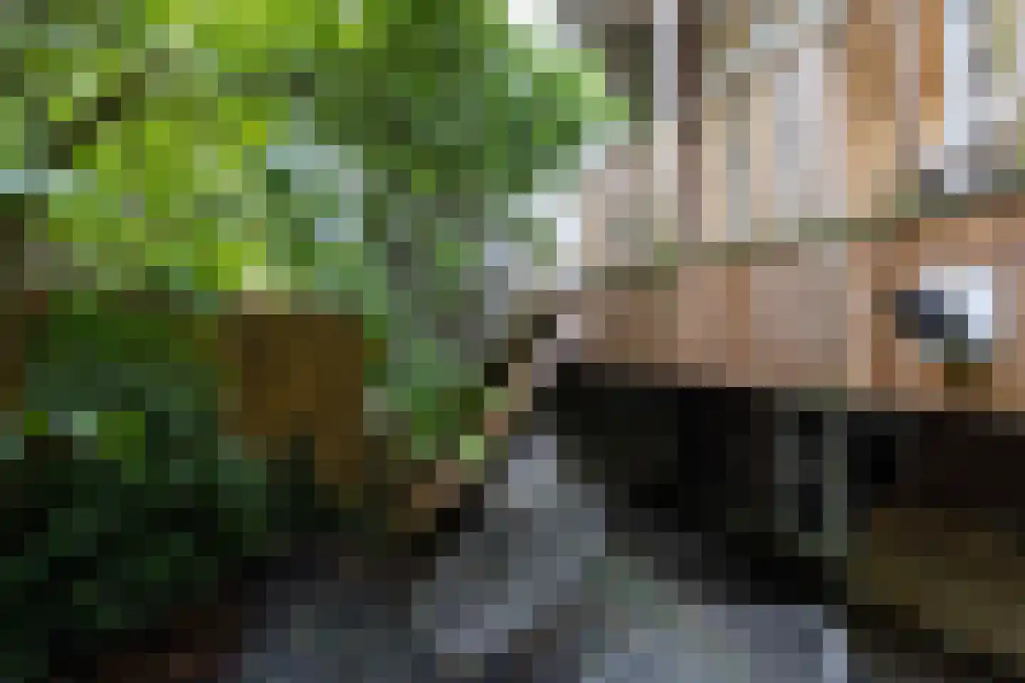 Provenierssingel 36 Rotterdam thumbnail 5