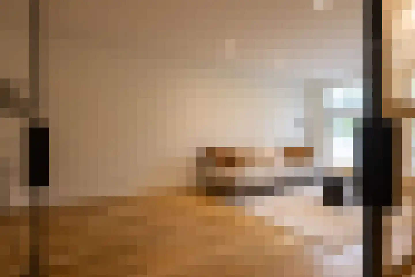Provenierssingel 36 Rotterdam thumbnail 6