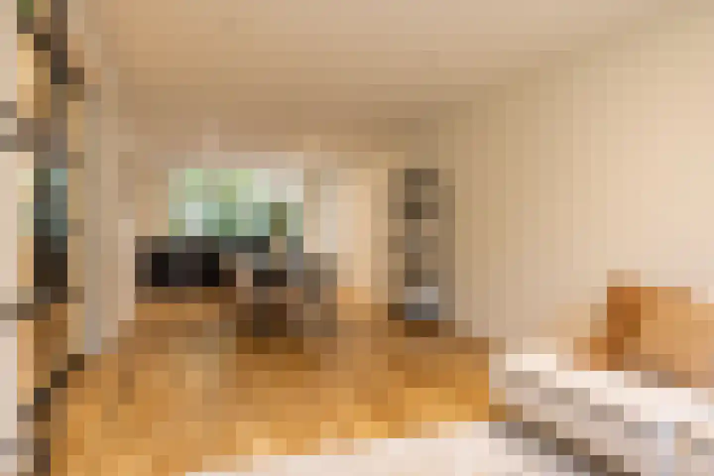 Provenierssingel 36 Rotterdam thumbnail 8