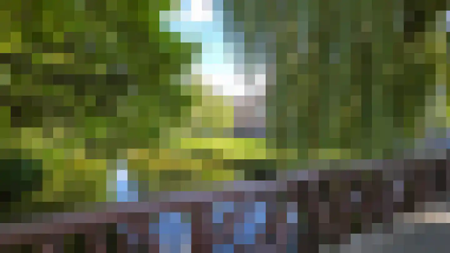 Provenierssingel 38 A 02 Rotterdam thumbnail 32