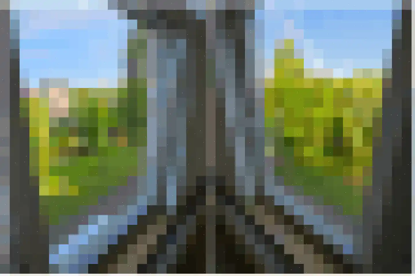 Provenierssingel 38 A 02 Rotterdam thumbnail 5