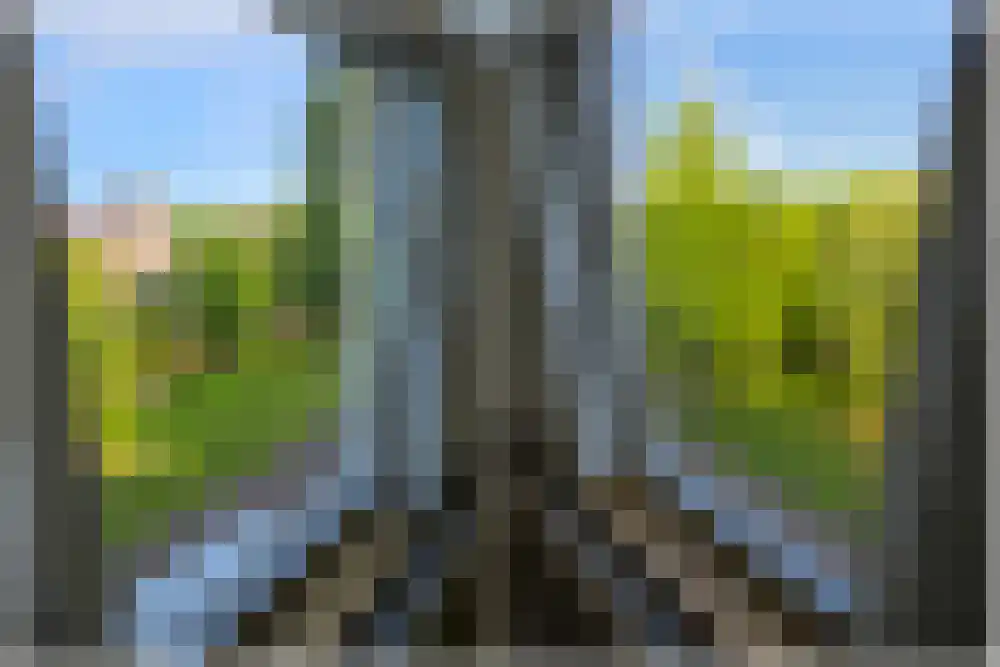 Provenierssingel 38 Rotterdam thumbnail 11