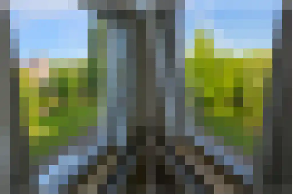 Provenierssingel 38 Rotterdam thumbnail 5