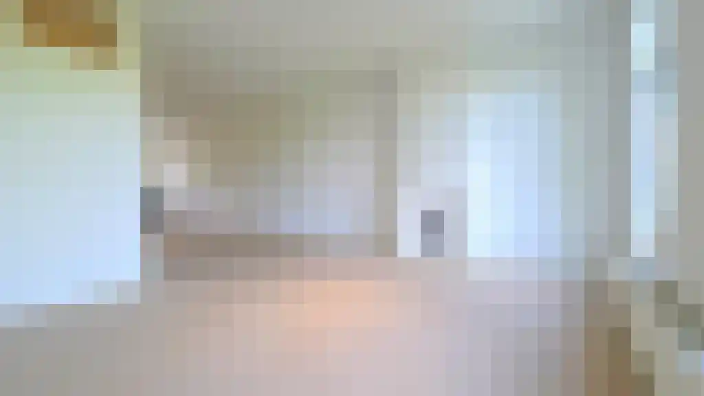 Provenierssingel 38 Rotterdam thumbnail 6