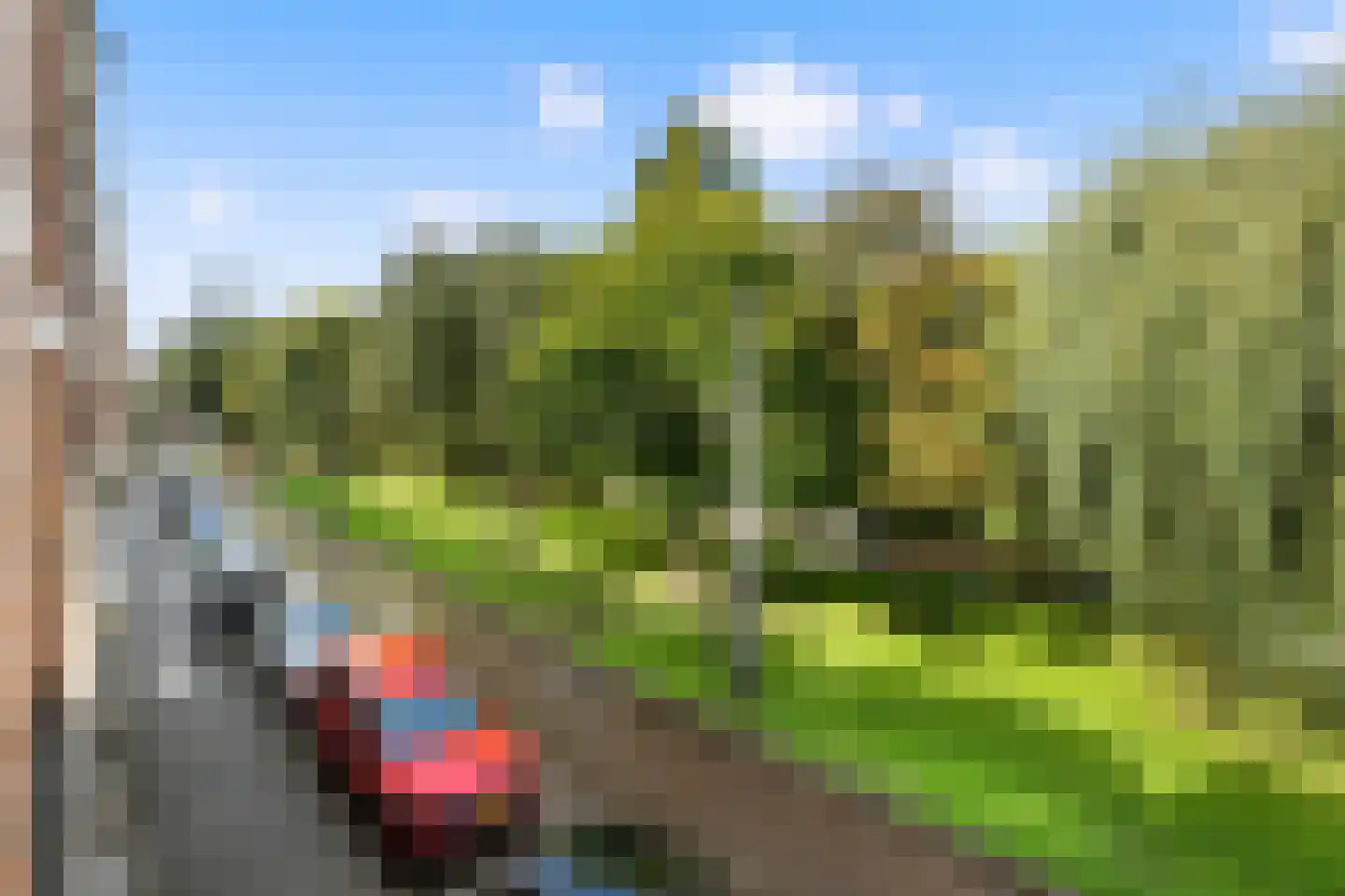 Provenierssingel 40 B 01 Rotterdam thumbnail 11