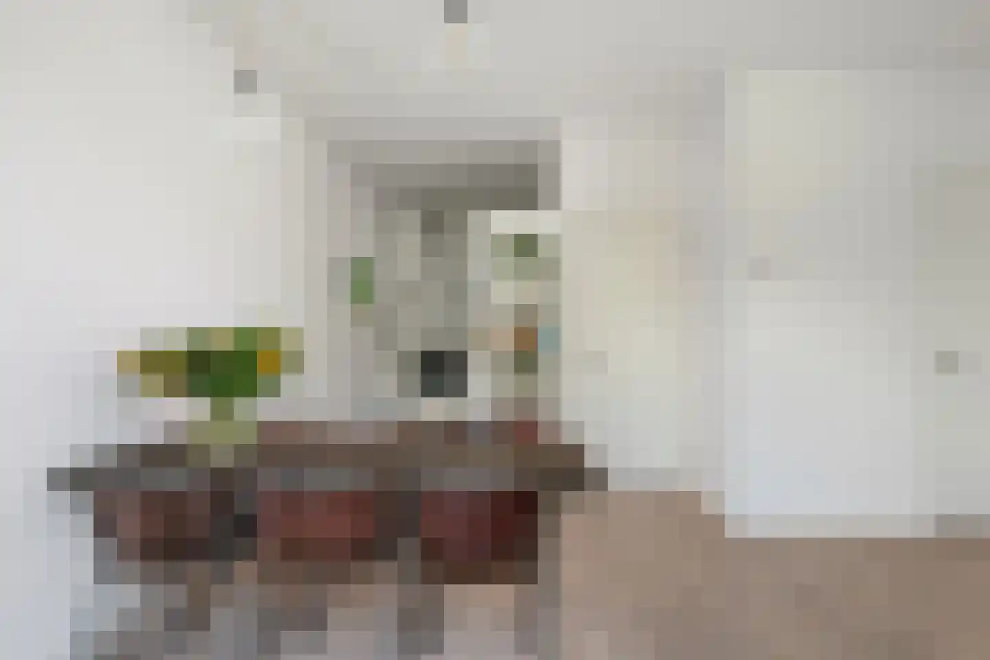 Provenierssingel 40 B 01 Rotterdam thumbnail 13
