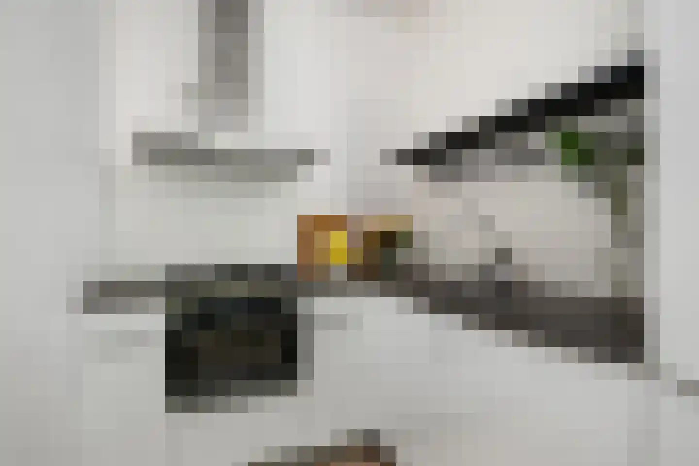 Provenierssingel 40 B 01 Rotterdam thumbnail 15