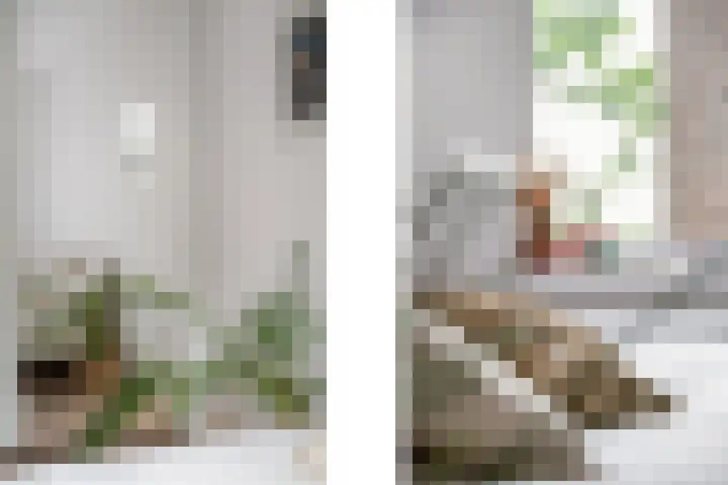 Provenierssingel 40 B 01 Rotterdam thumbnail 19