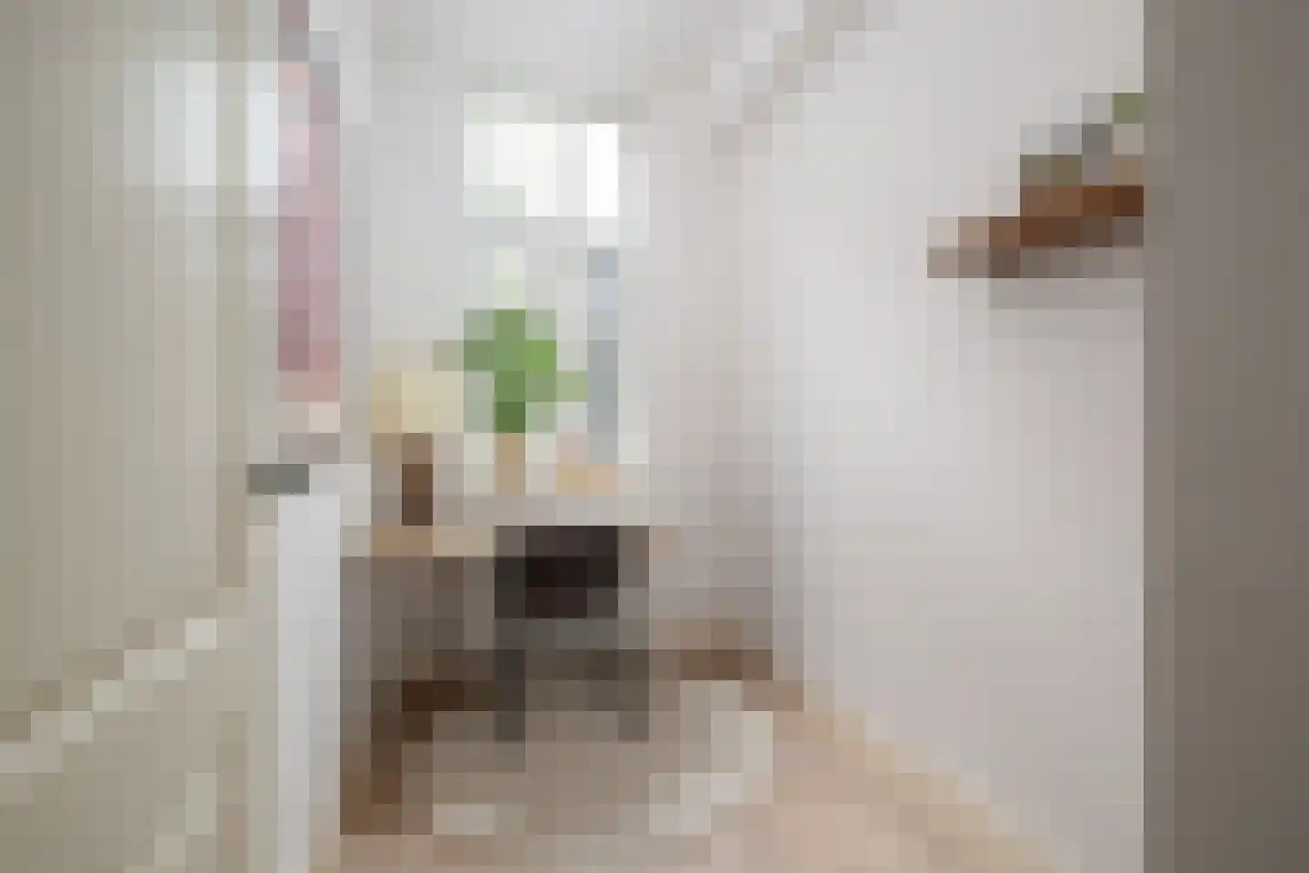 Provenierssingel 40 B 01 Rotterdam thumbnail 20