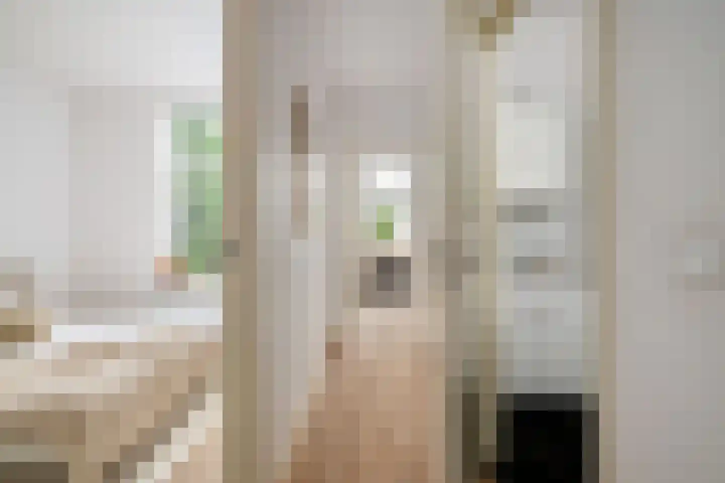 Provenierssingel 40 B 01 Rotterdam thumbnail 21