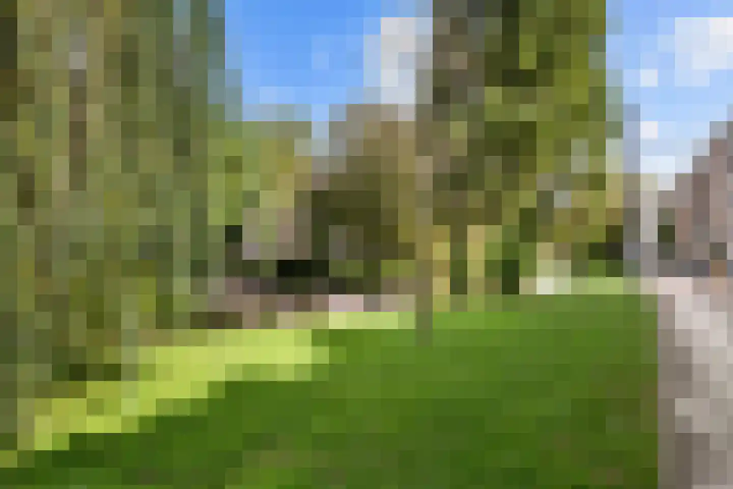Provenierssingel 40 B 01 Rotterdam thumbnail 24