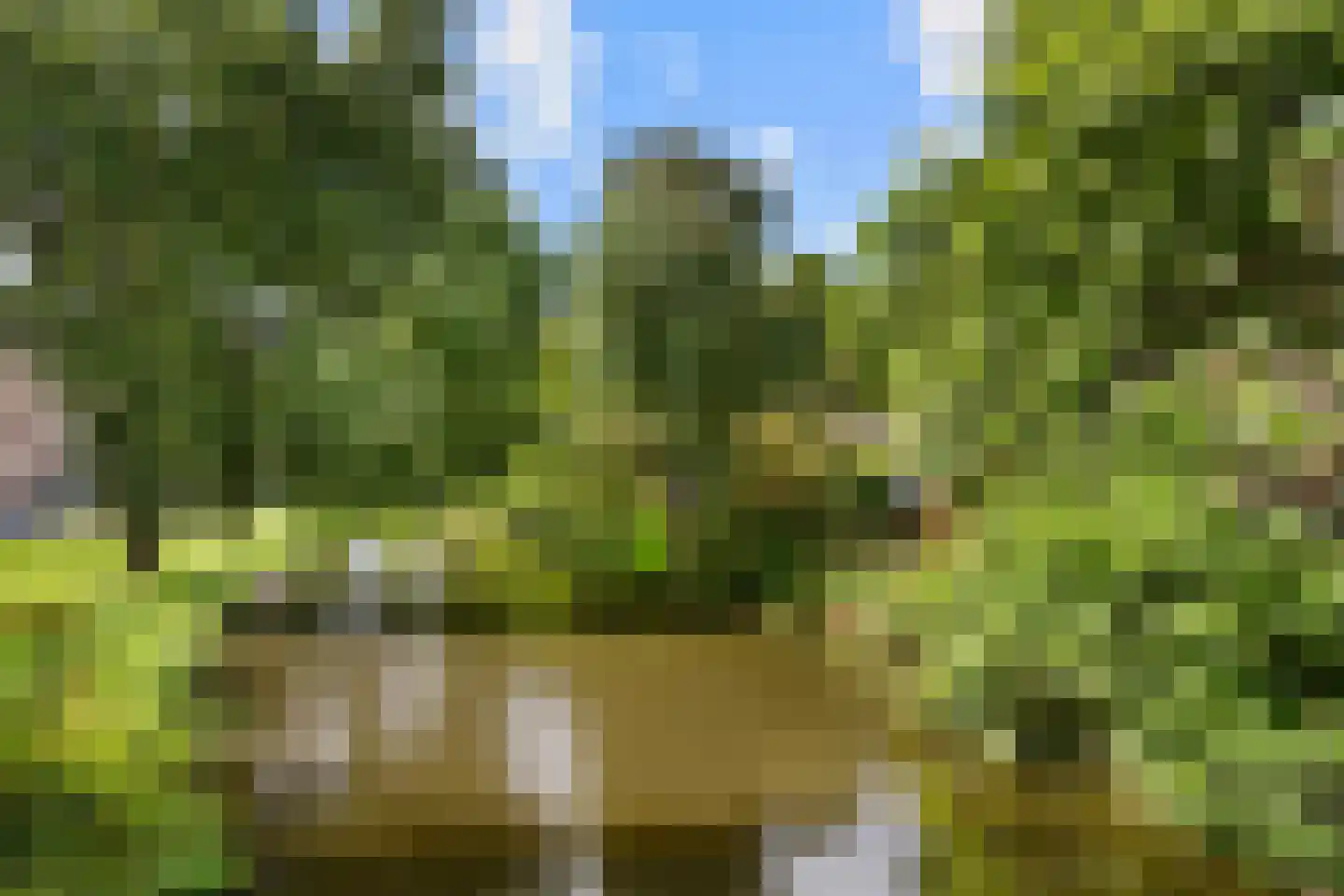 Provenierssingel 40 B 01 Rotterdam thumbnail 25