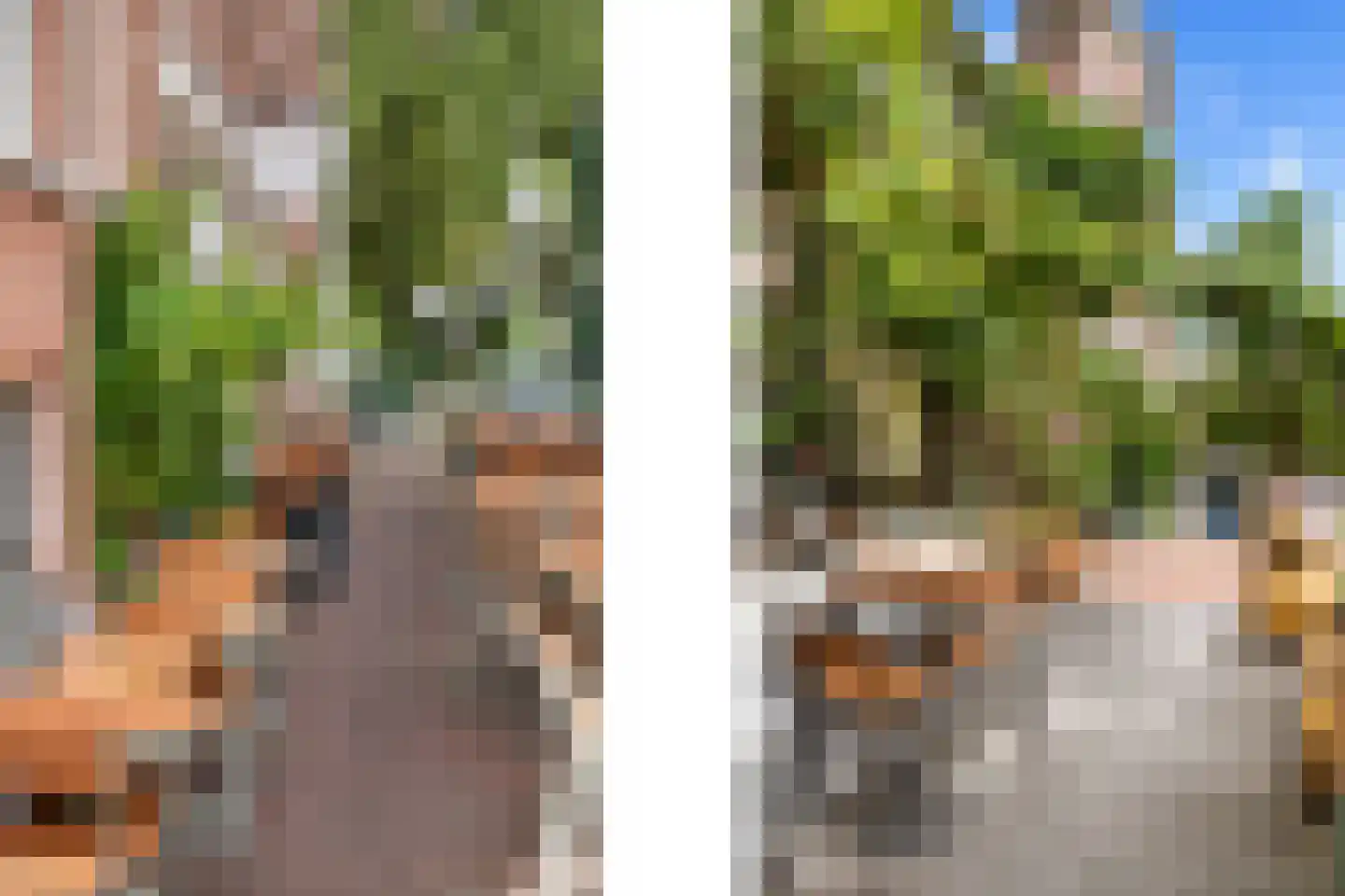 Provenierssingel 40 B 01 Rotterdam thumbnail 27