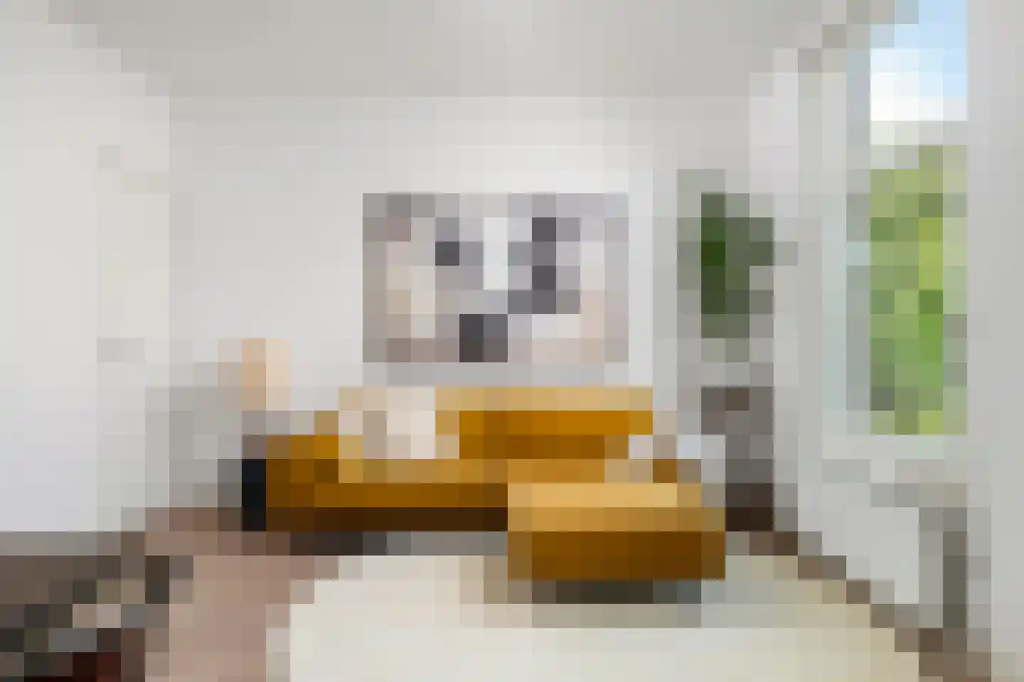 Provenierssingel 40 B 01 Rotterdam thumbnail 5