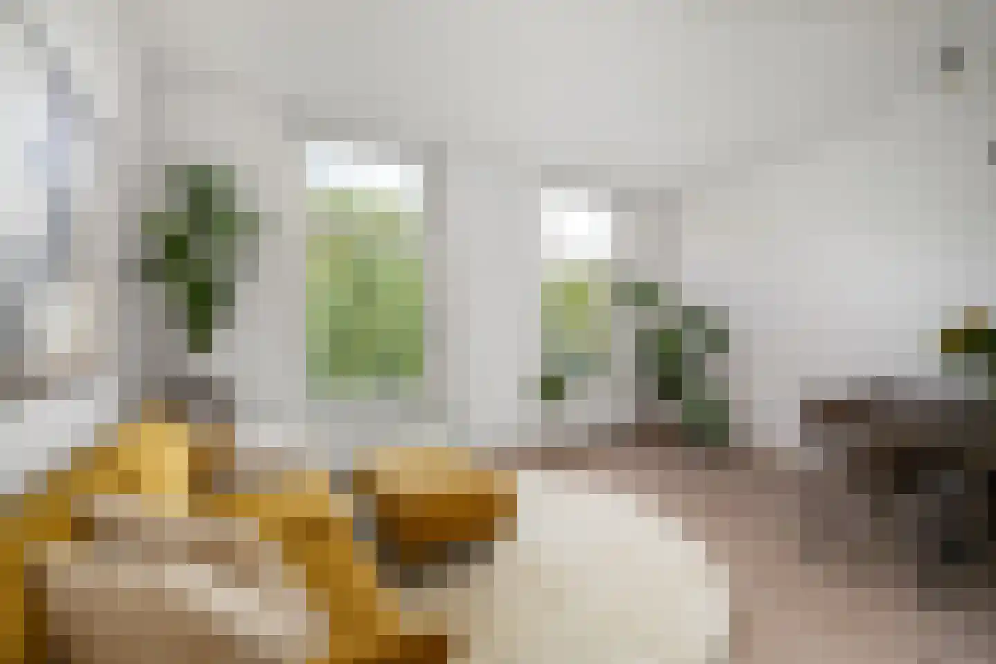 Provenierssingel 40 B 01 Rotterdam thumbnail 7