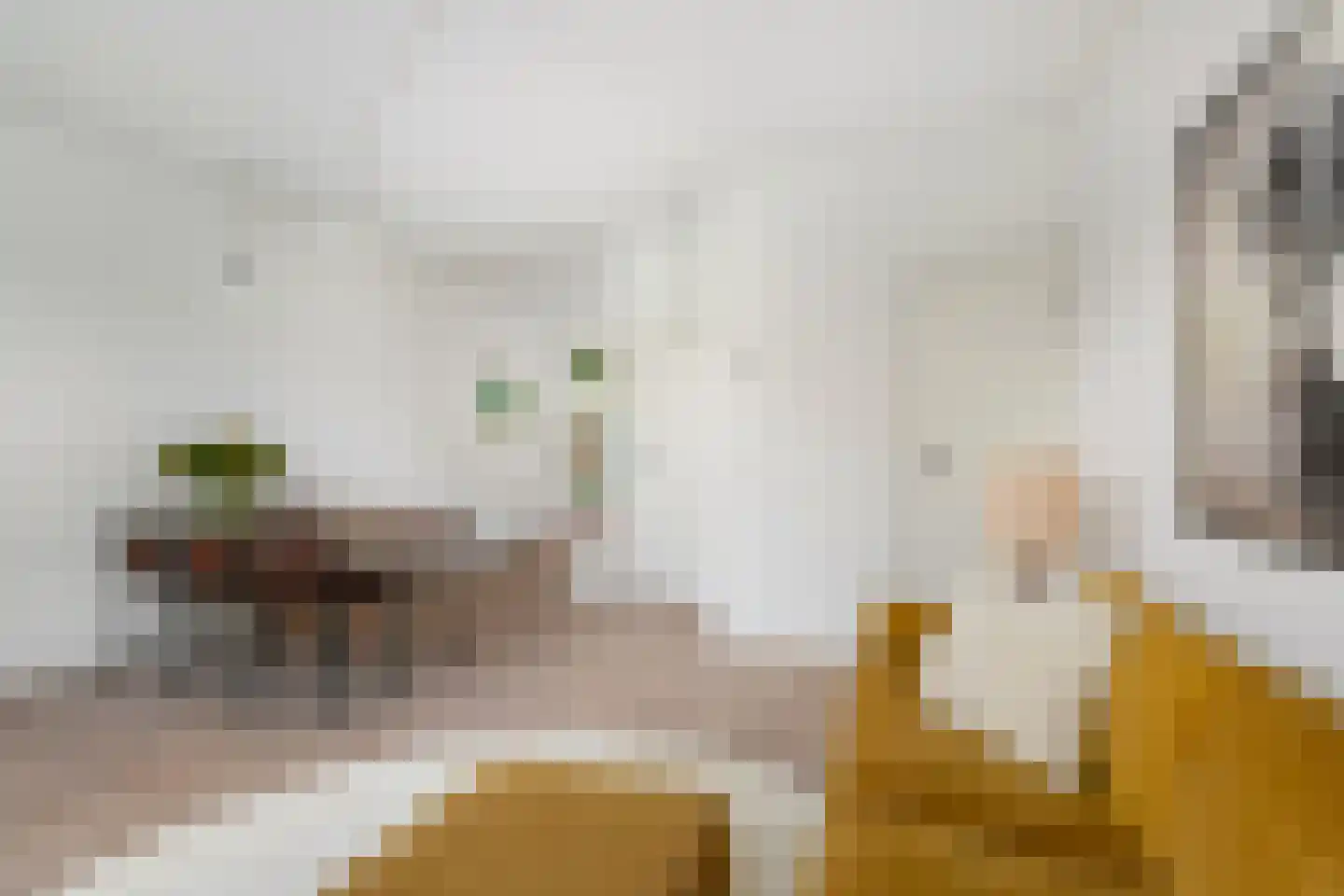 Provenierssingel 40 B 01 Rotterdam thumbnail 8