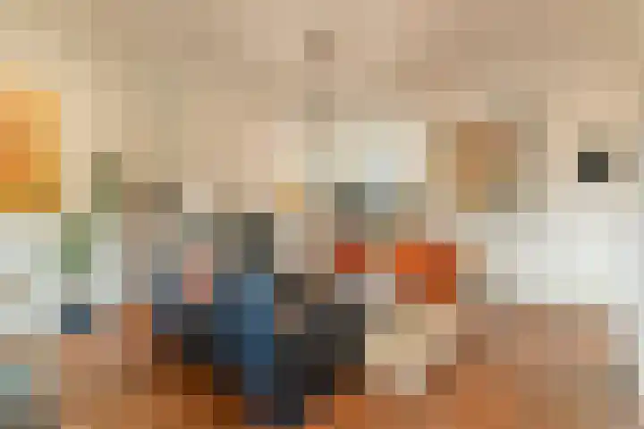 Provenierssingel 5 D Rotterdam thumbnail 10