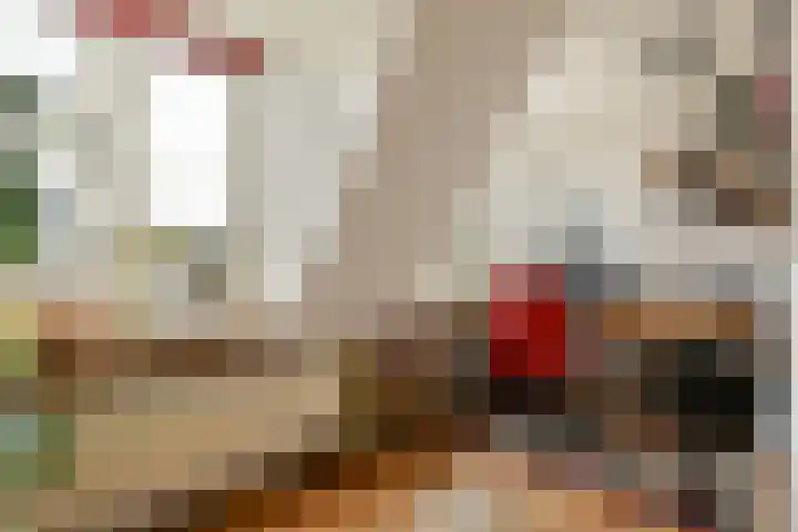 Provenierssingel 5 D Rotterdam thumbnail 12
