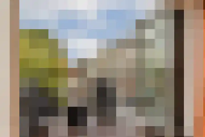 Provenierssingel 5 D Rotterdam thumbnail 13