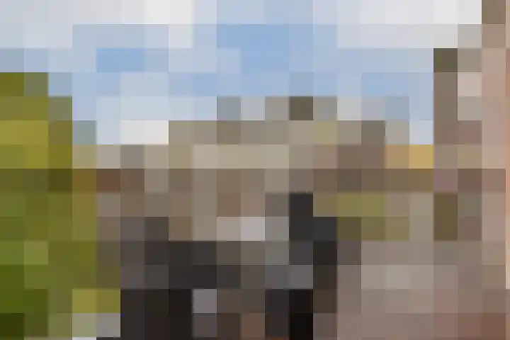 Provenierssingel 5 D Rotterdam thumbnail 14