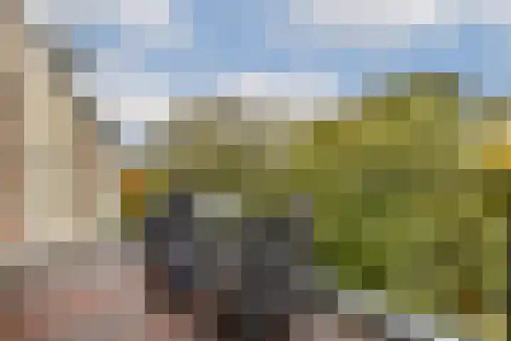 Provenierssingel 5 D Rotterdam thumbnail 15
