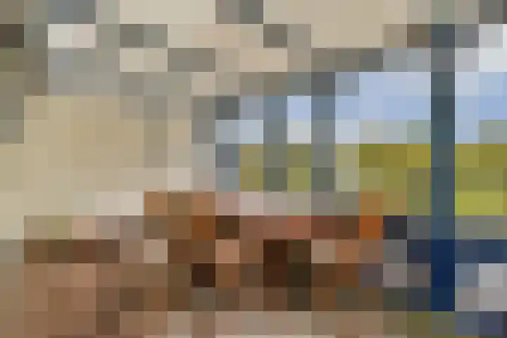 Provenierssingel 5 D Rotterdam thumbnail 30