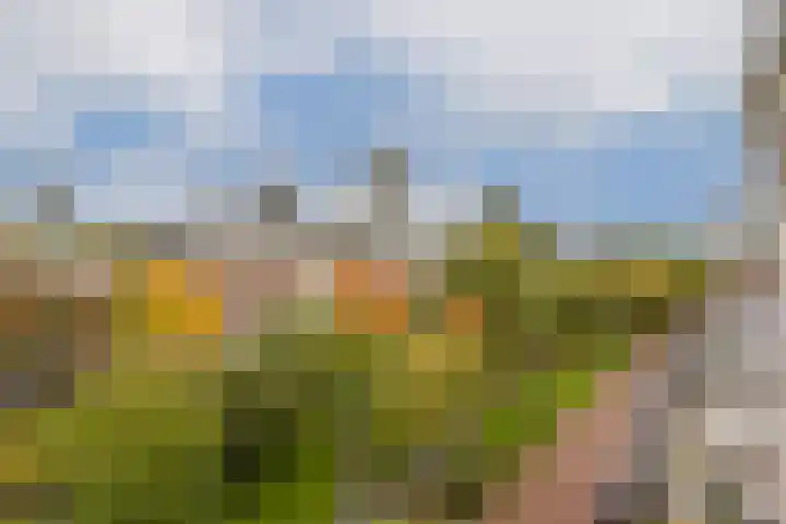 Provenierssingel 5 D Rotterdam thumbnail 33