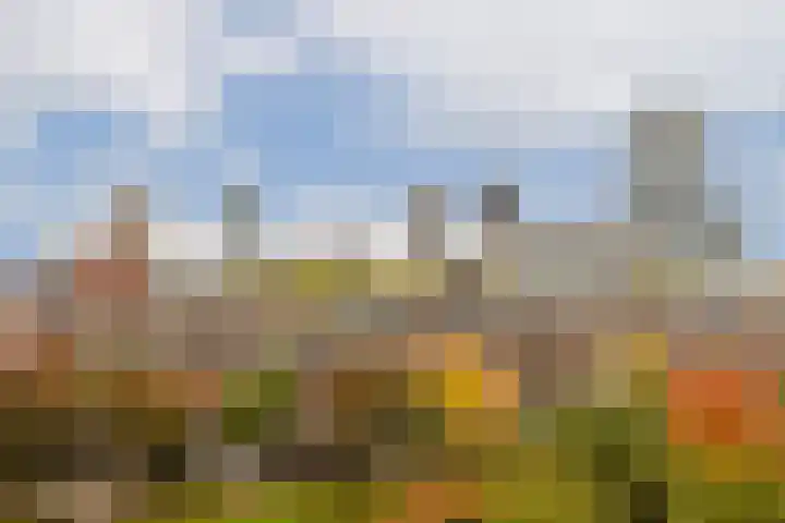 Provenierssingel 5 D Rotterdam thumbnail 34