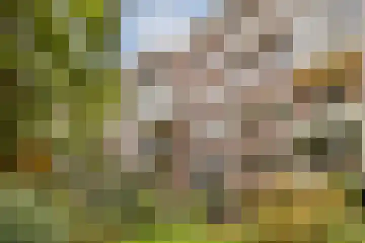 Provenierssingel 5 D Rotterdam thumbnail 35
