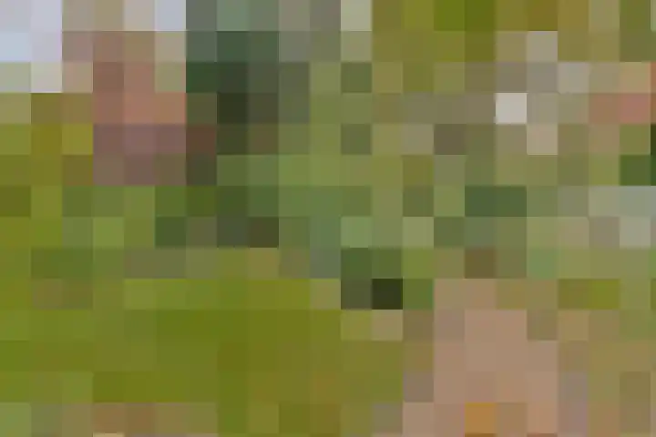 Provenierssingel 5 D Rotterdam thumbnail 36