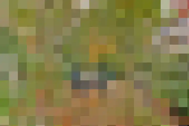 Provenierssingel 5 D Rotterdam thumbnail 37