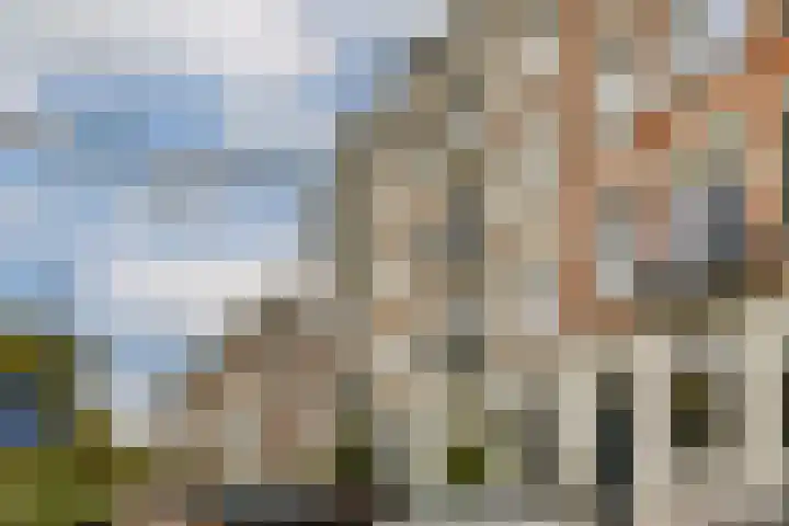 Provenierssingel 5 D Rotterdam thumbnail 5