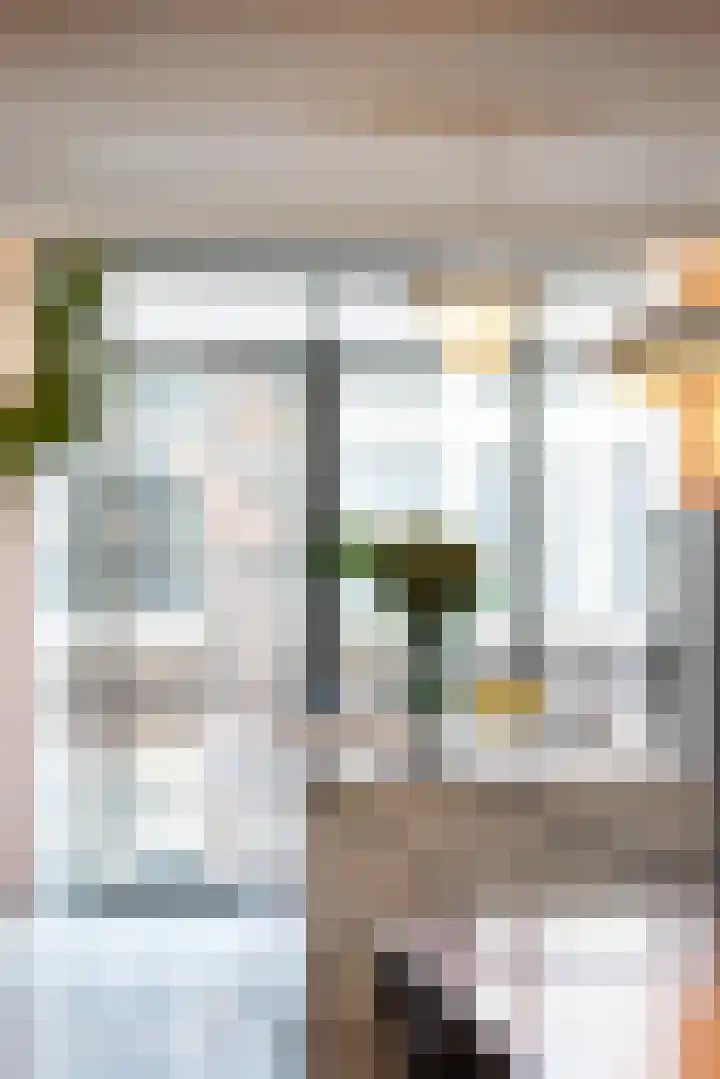 Provenierssingel 6 A Rotterdam thumbnail 11
