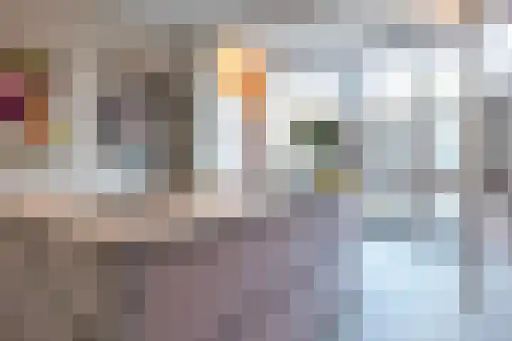Provenierssingel 6 A Rotterdam thumbnail 12