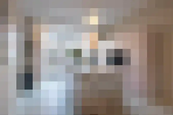 Provenierssingel 6 A Rotterdam thumbnail 13