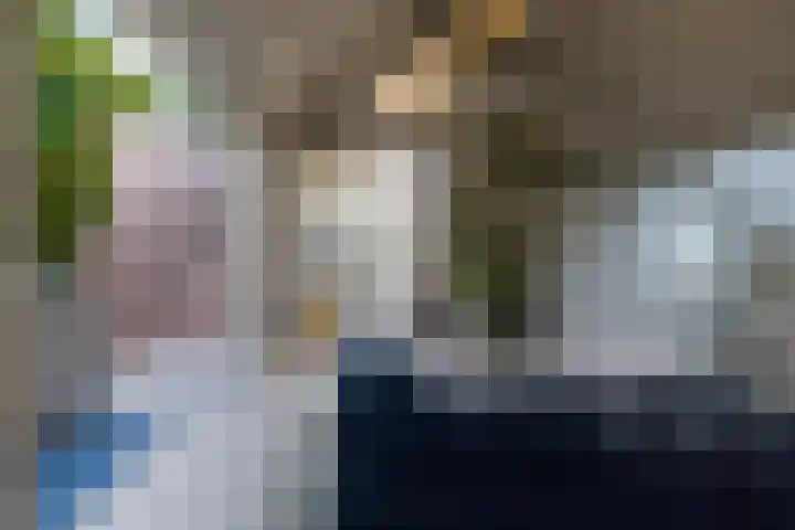 Provenierssingel 6 A Rotterdam thumbnail 33