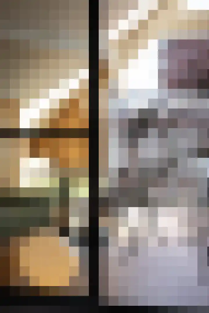 Provenierssingel 6 A Rotterdam thumbnail 34