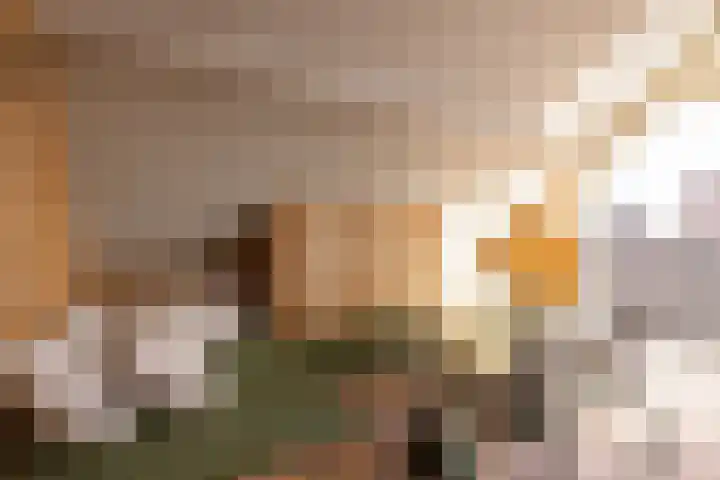 Provenierssingel 6 A Rotterdam thumbnail 35
