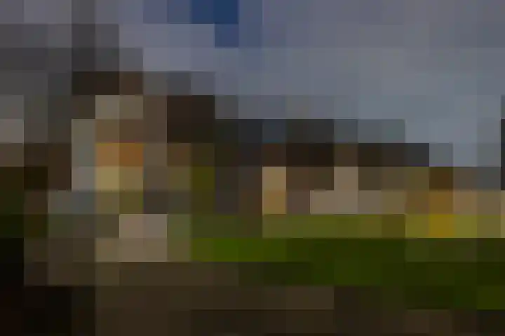 Provenierssingel 6 A Rotterdam thumbnail 40