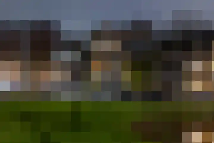 Provenierssingel 6 A Rotterdam thumbnail 41