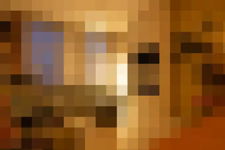 Provenierssingel 6 A Rotterdam thumbnail 43