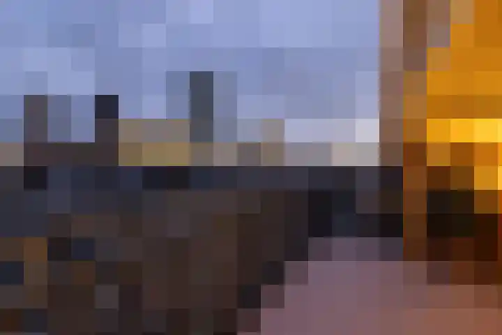 Provenierssingel 6 A Rotterdam thumbnail 52
