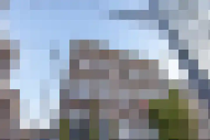 Provenierssingel 6 A Rotterdam thumbnail 53