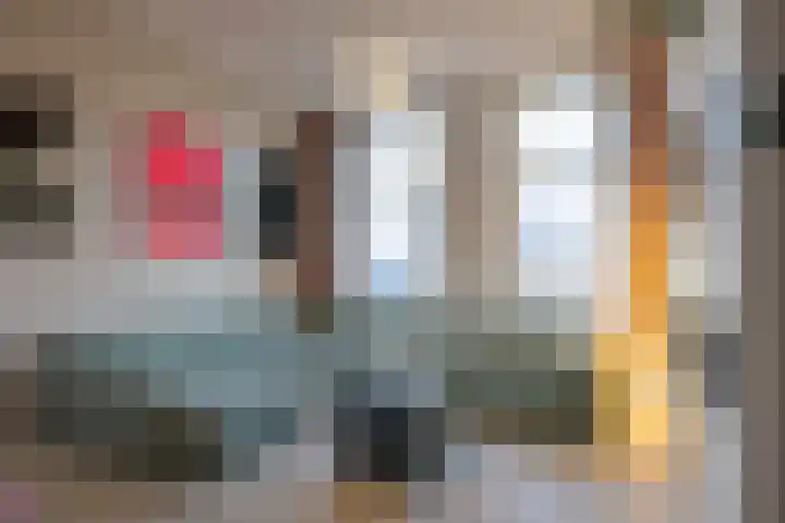 Provenierssingel 6 A Rotterdam thumbnail 8