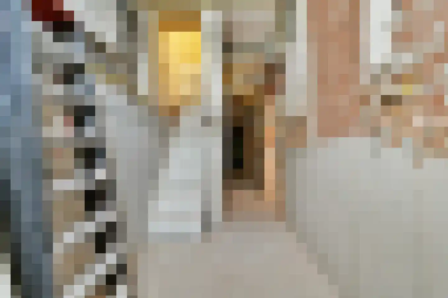 Provenierssingel 63 B Rotterdam thumbnail 32