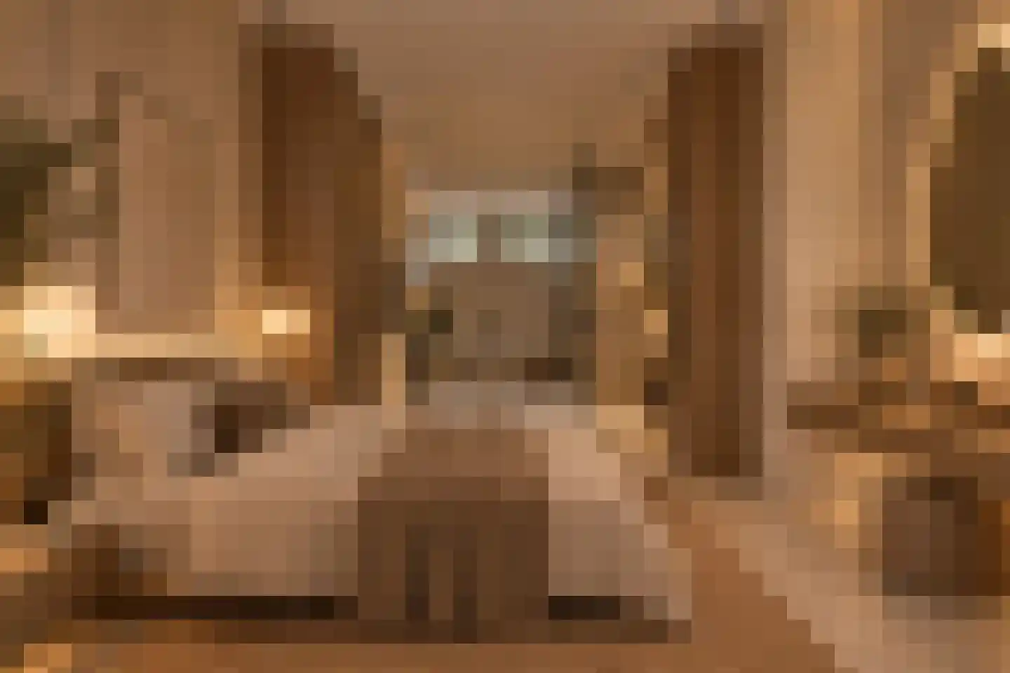 Provenierssingel 63 B Rotterdam thumbnail 34
