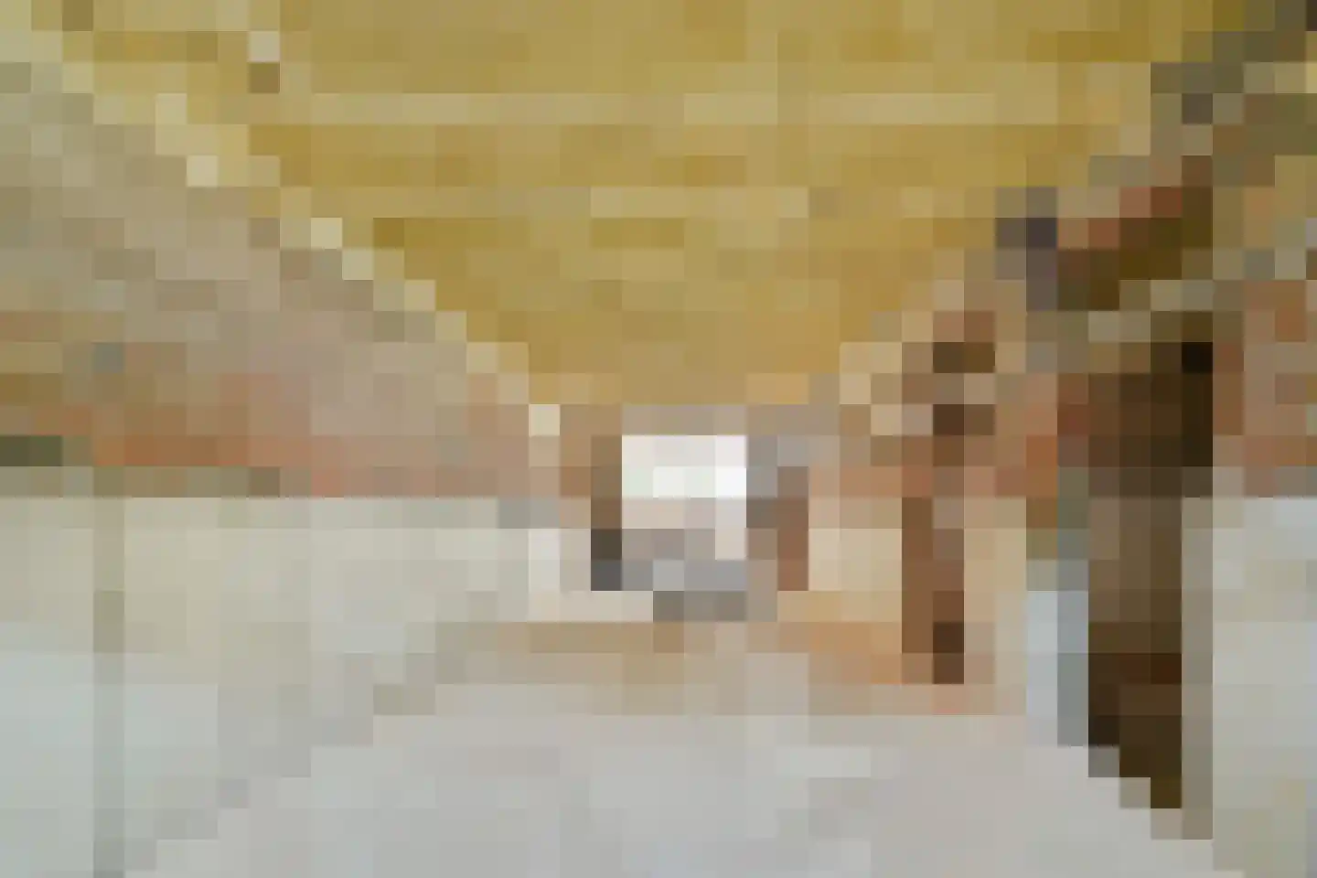 Provenierssingel 63 B Rotterdam thumbnail 38