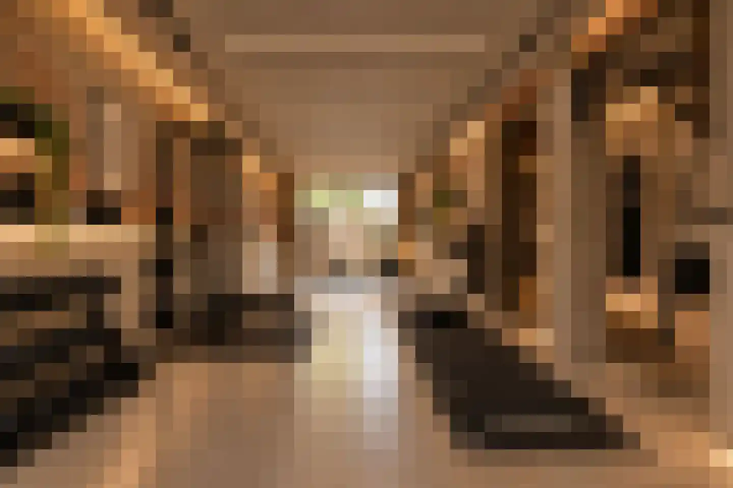 Provenierssingel 63 B Rotterdam thumbnail 39